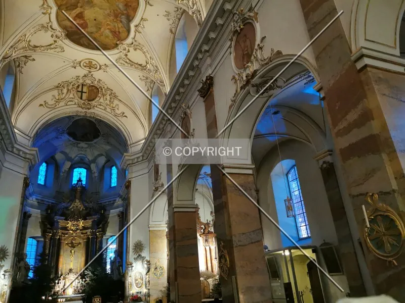 Photo 283-297-564
