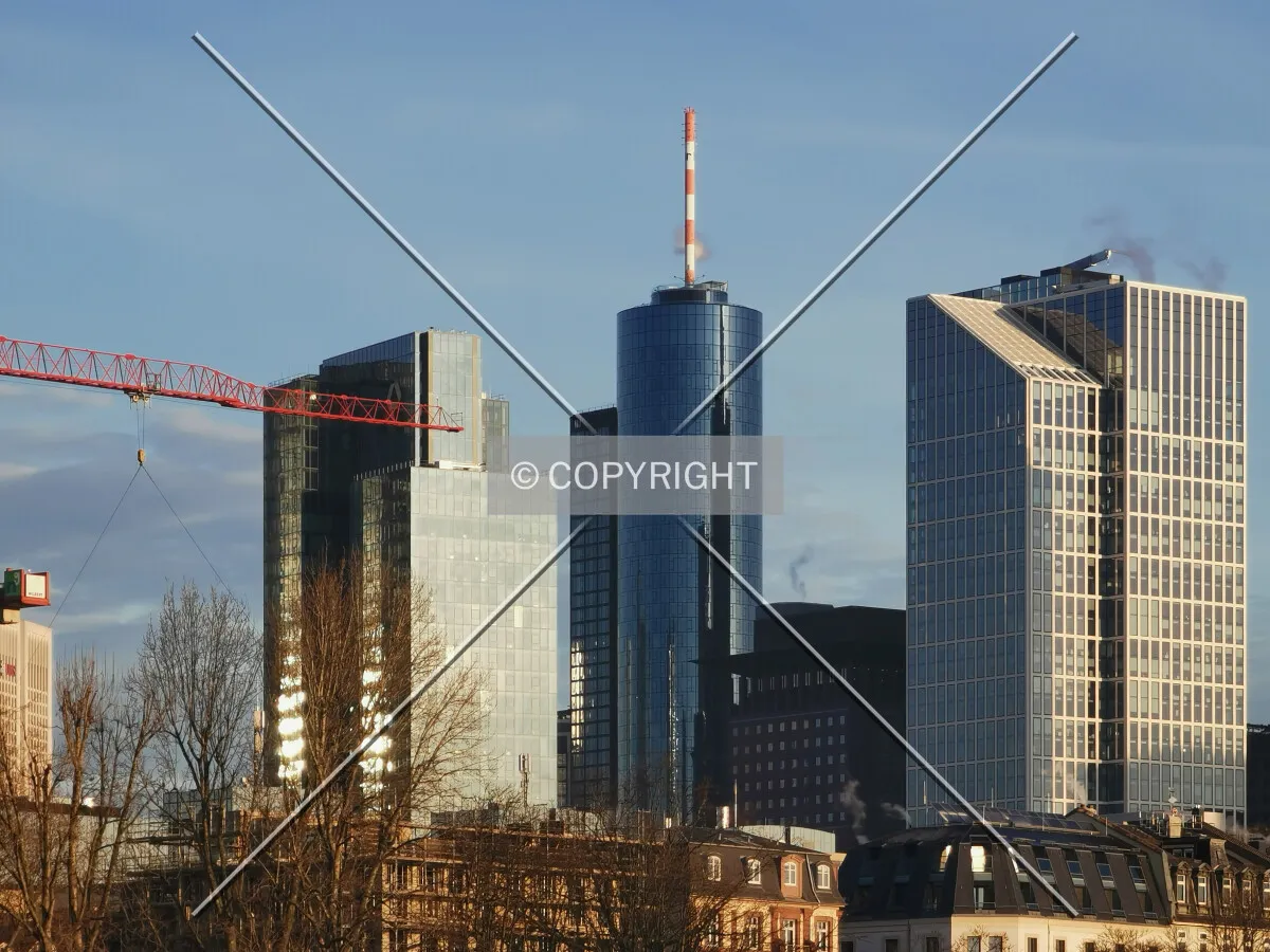 Photo 028-348-701