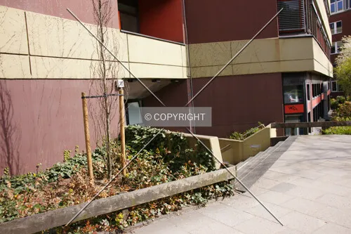 Photo 283-671-247