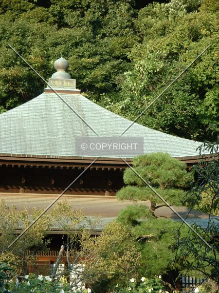 Photo 028-383-046
