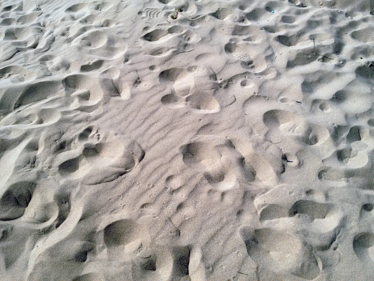 Photo 283-911-540