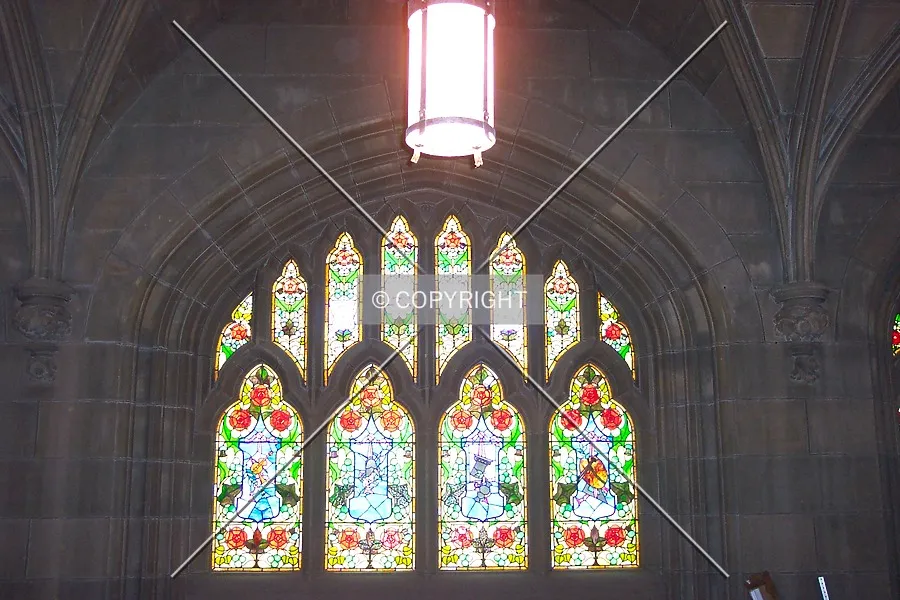 Photo 284-116-849