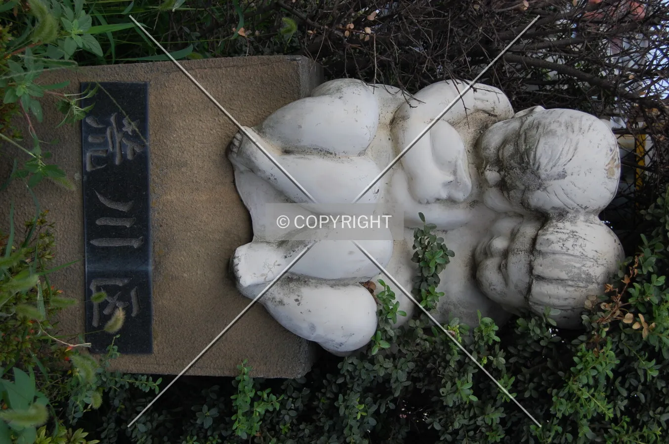 Photo 284-154-797
