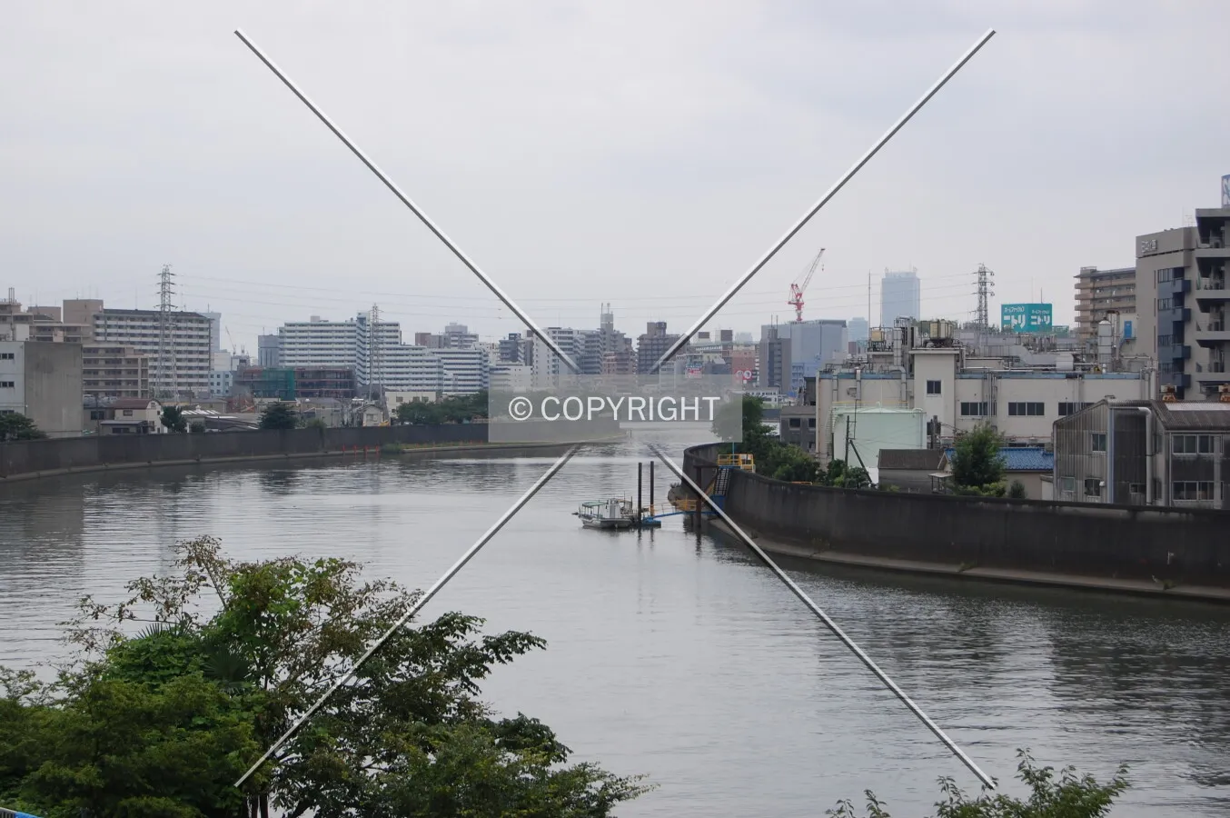 Photo 284-328-984