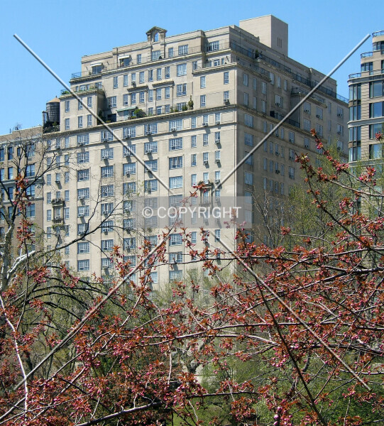 Photo 284-371-643