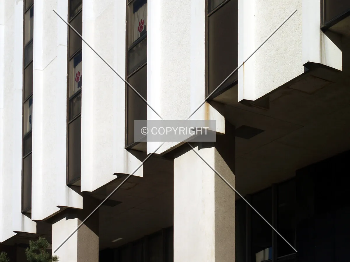 Concrete I-beams in the facade