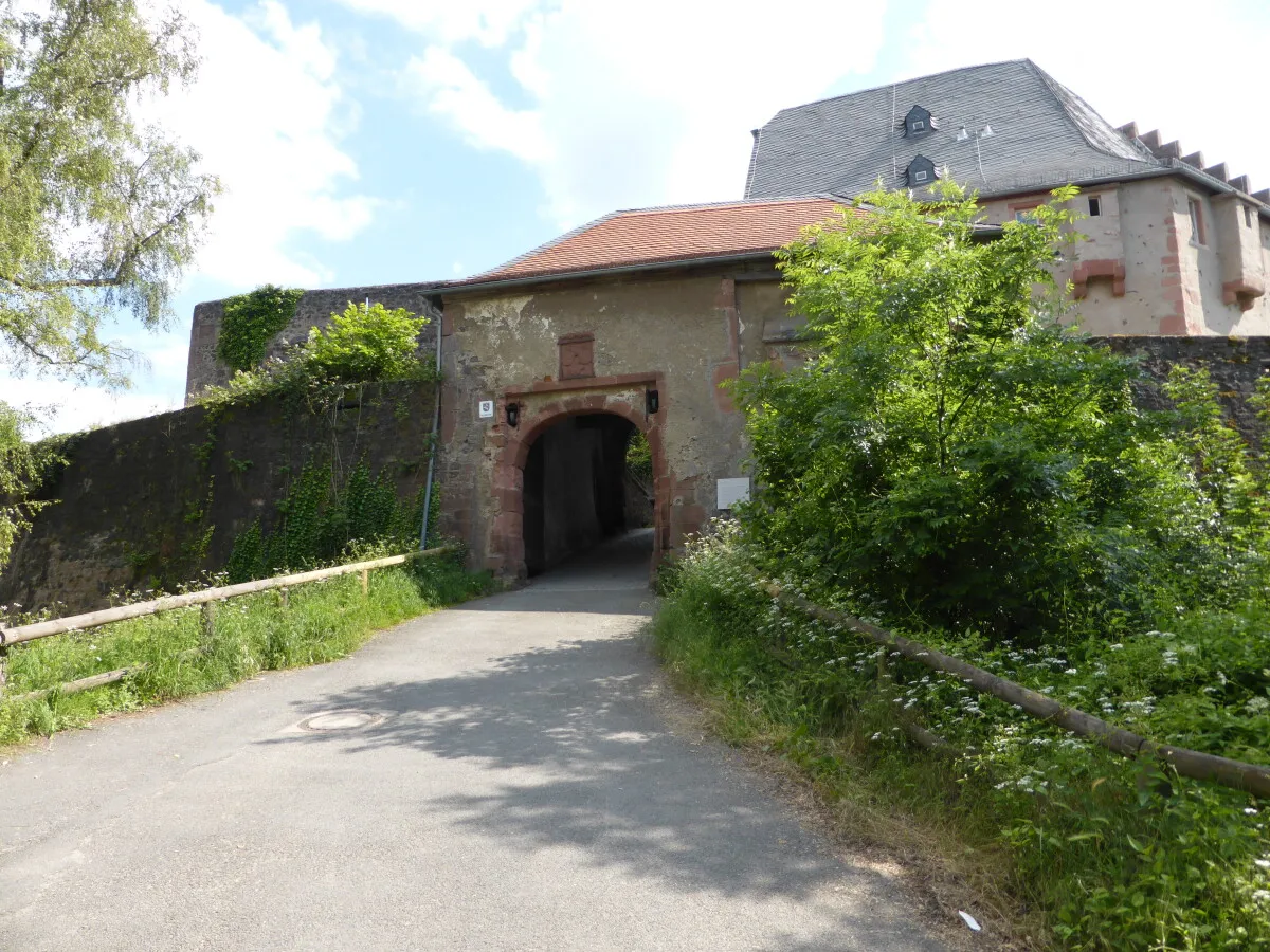 Photo 028-446-790