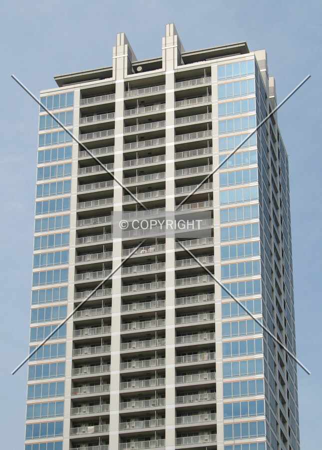 View from the south