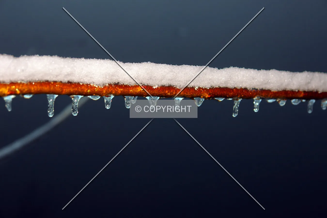 frozen waterdrops or icicles on a branch