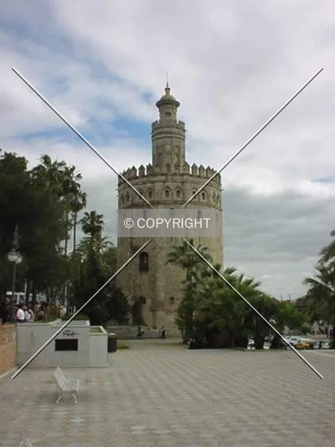 Photo 285-109-806