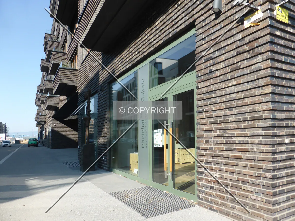 Photo 285-113-658
