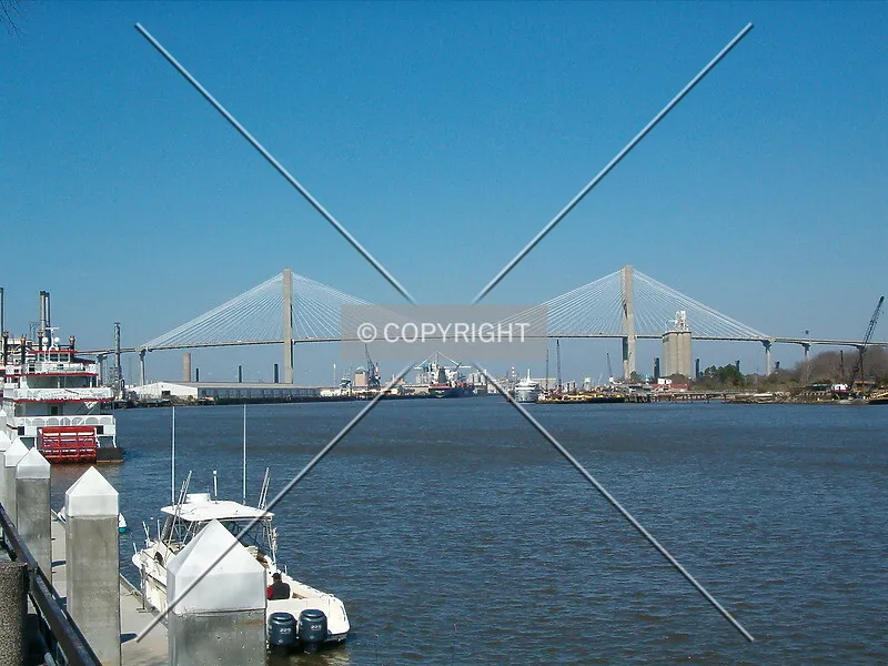 Photo 285-115-749