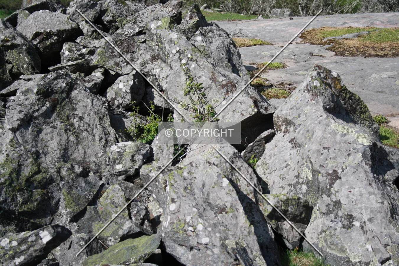Simply rocks