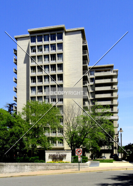 Photo 285-243-590