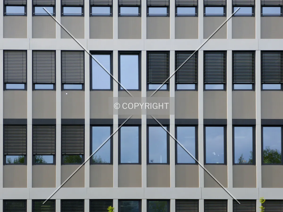 Photo 285-255-719