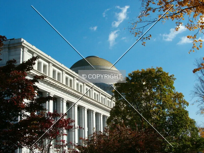 Photo 285-260-937