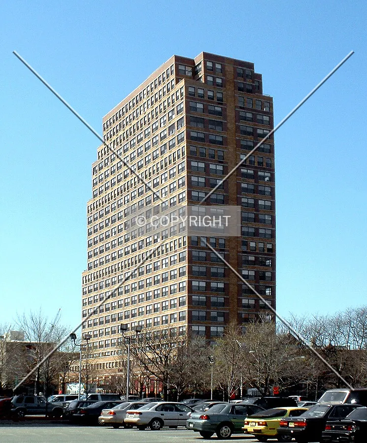 View from the northeast