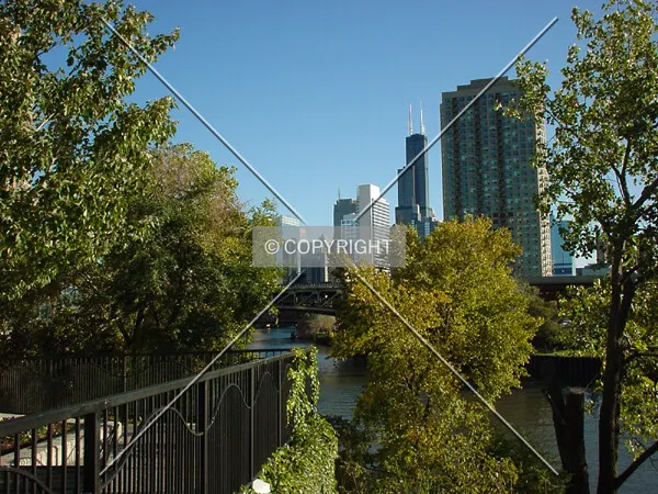 Looking down the Chicago River from Erie Street