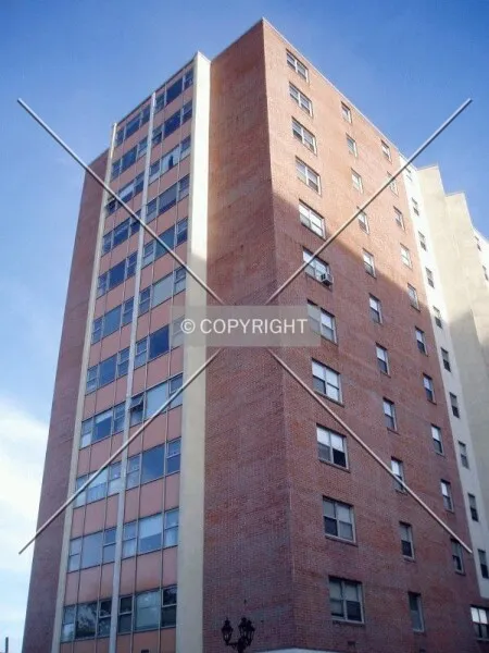 Photo 285-597-797