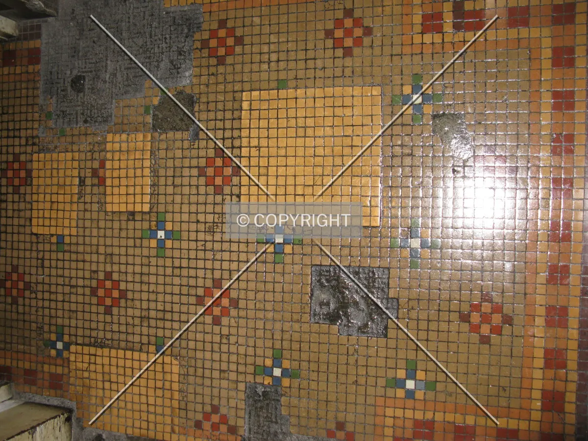 Photo 285-897-233