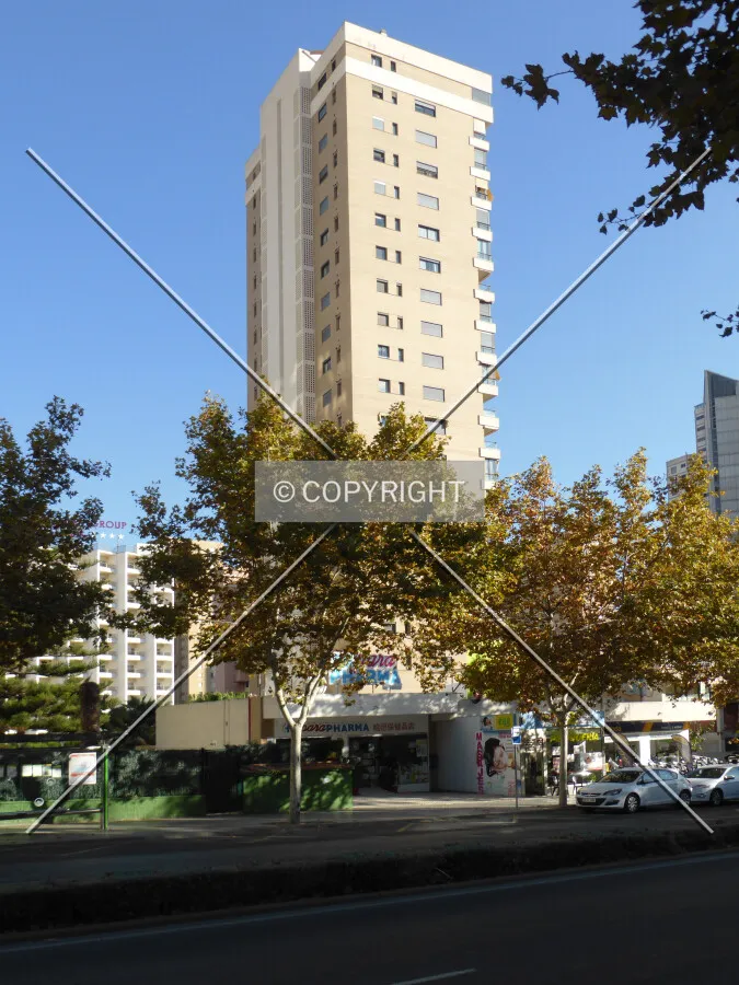 Photo 286-213-826