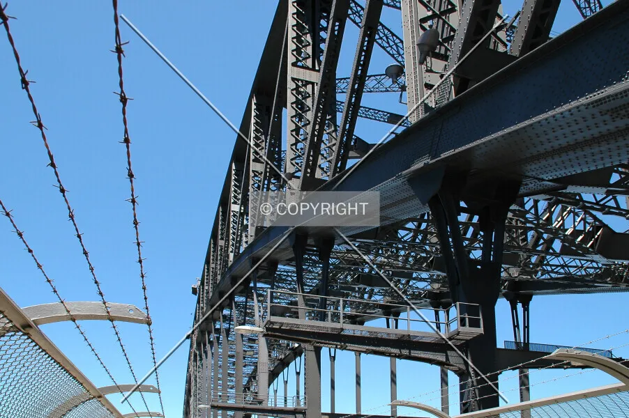 Photo 286-607-289