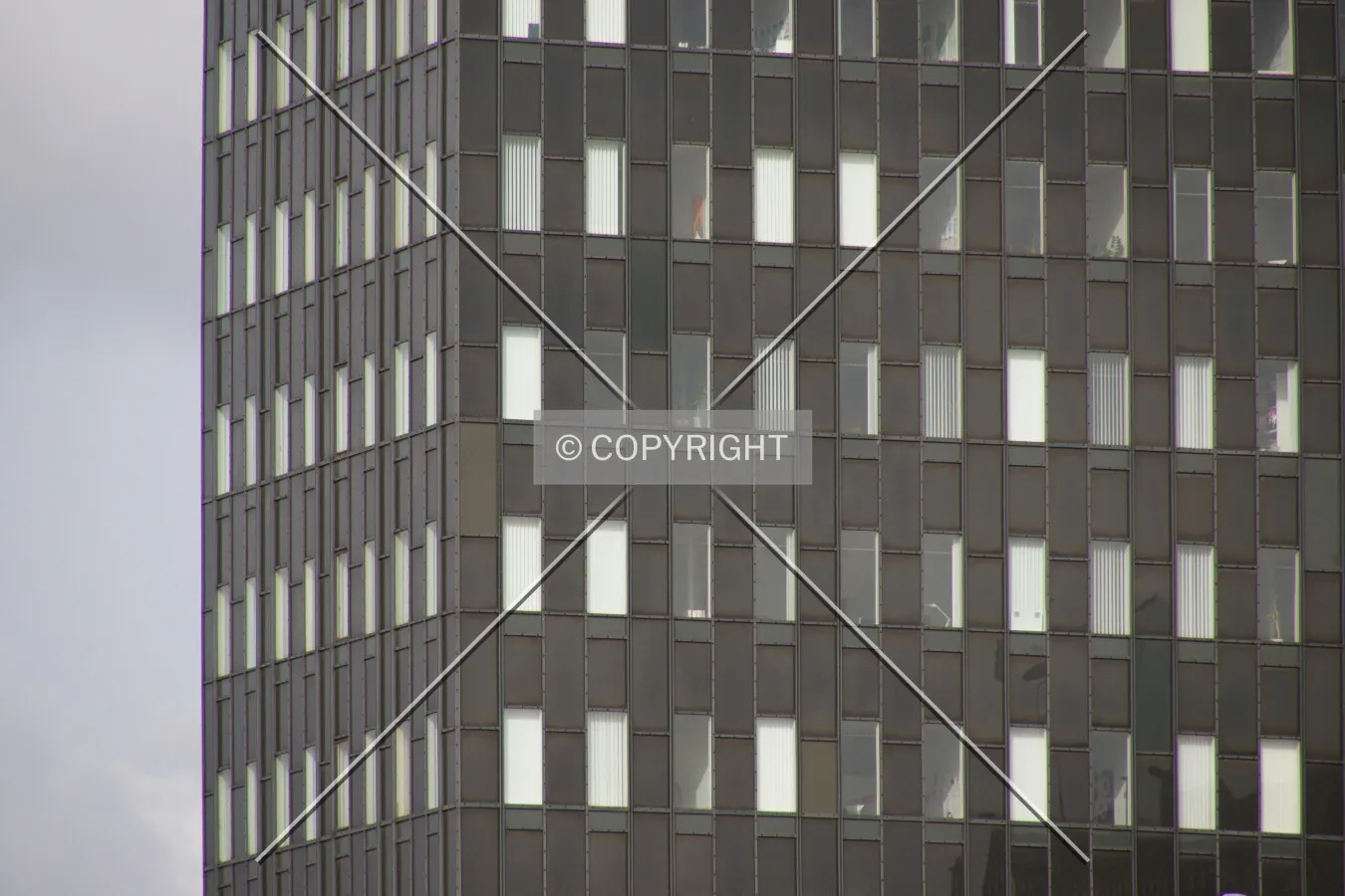 Photo 286-893-042