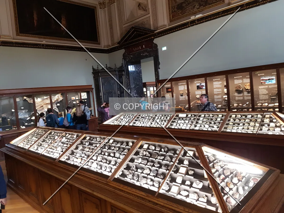Exhibition area