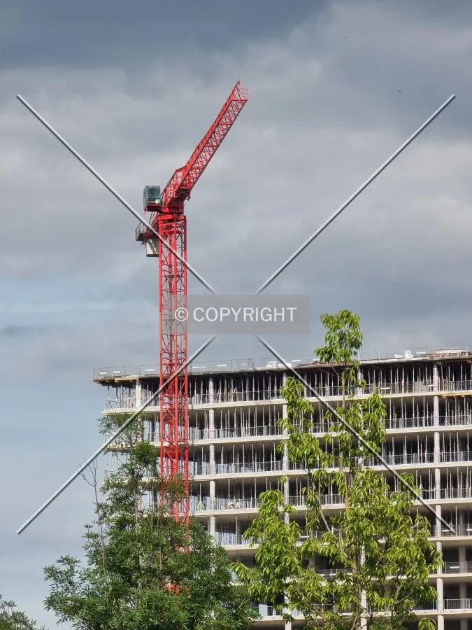 Photo 287-197-903