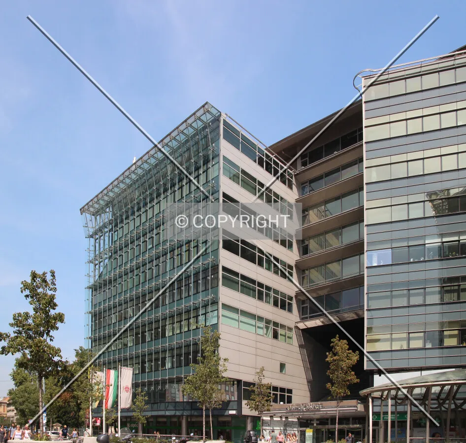 View from the south