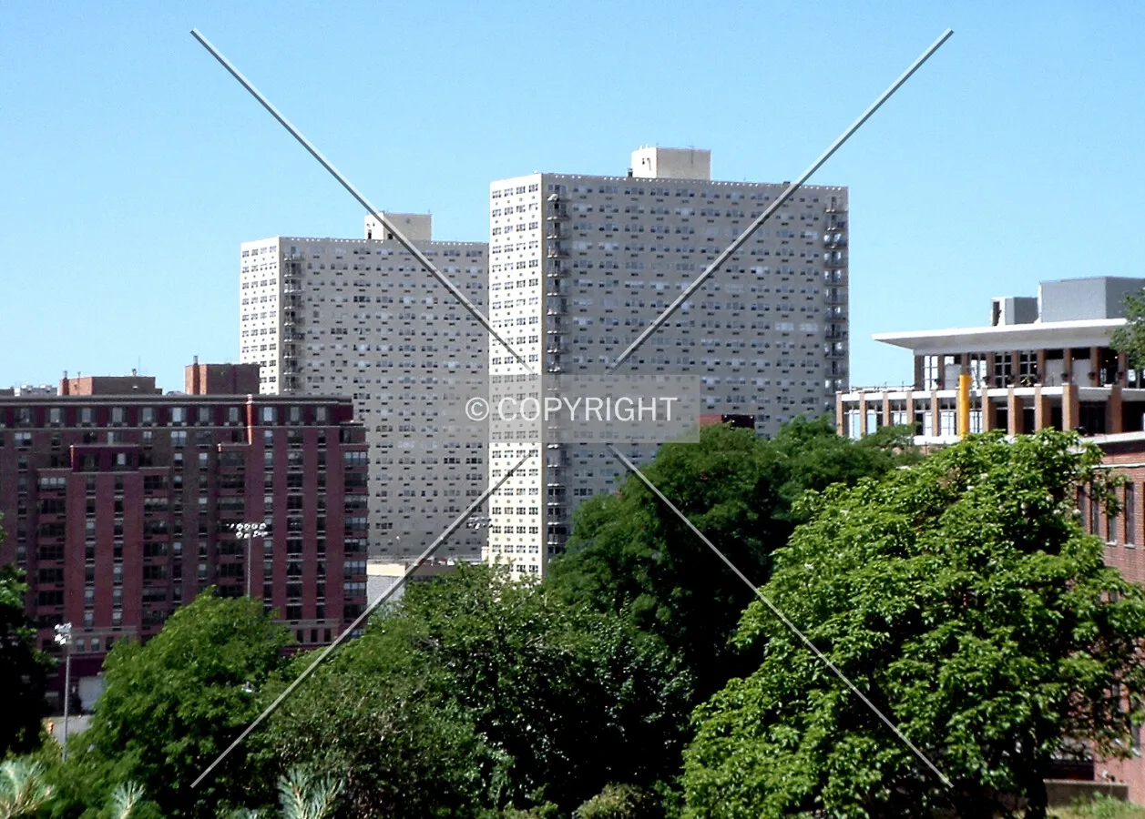 View from the northeast