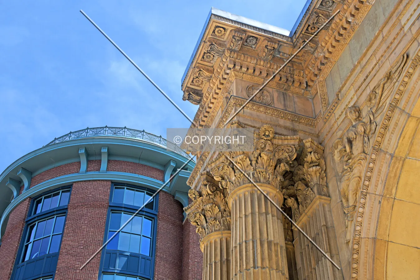 Photo 288-296-423