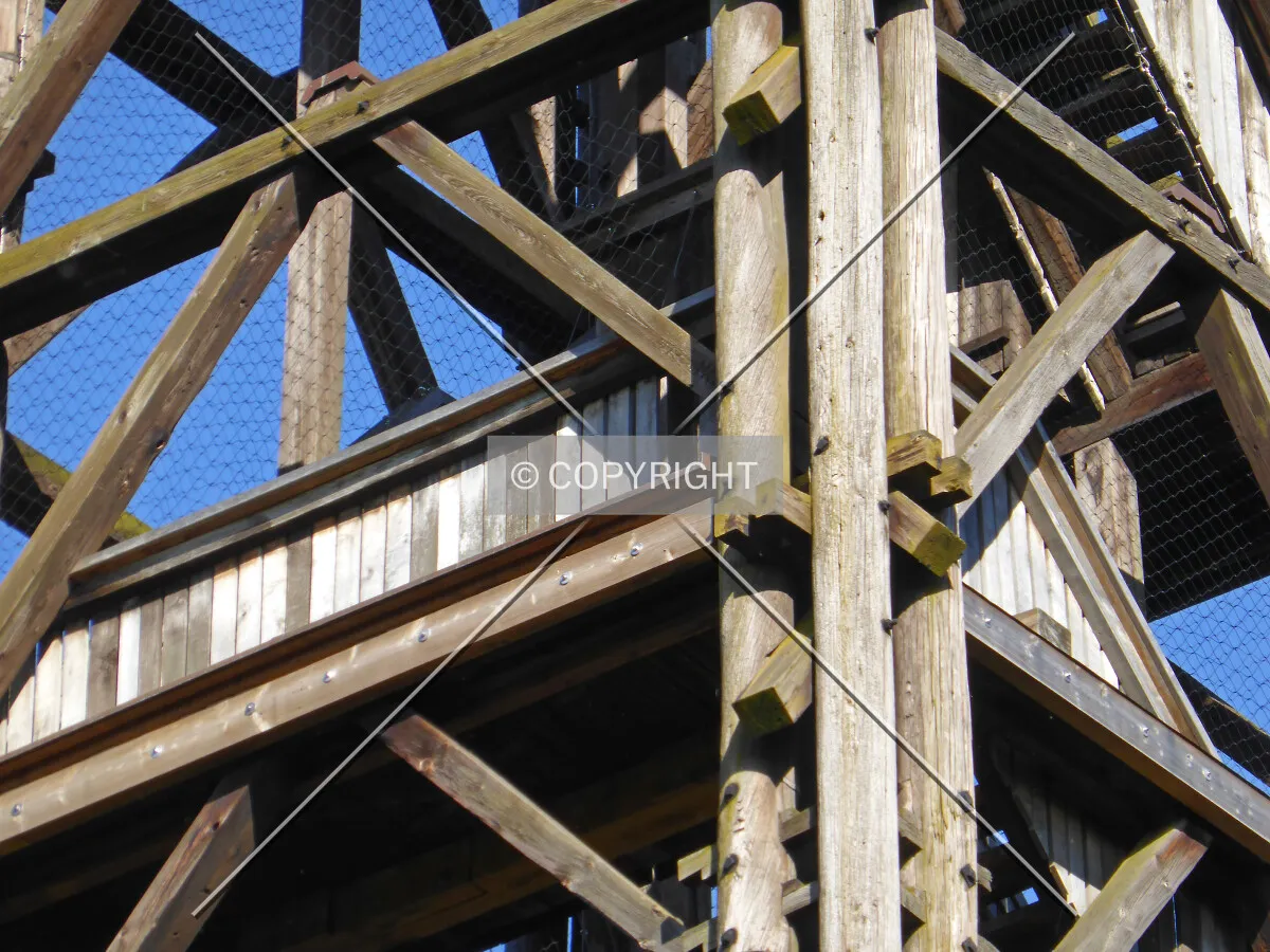Photo 288-302-129
