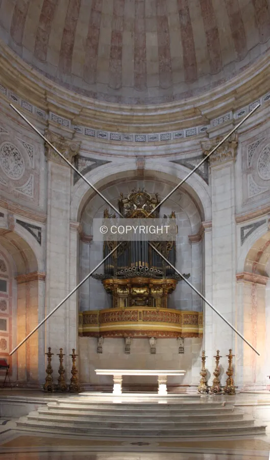 View of the organ