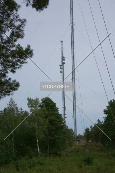 Photo 288-915-230