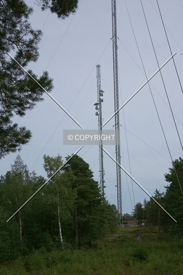Photo 288-915-230