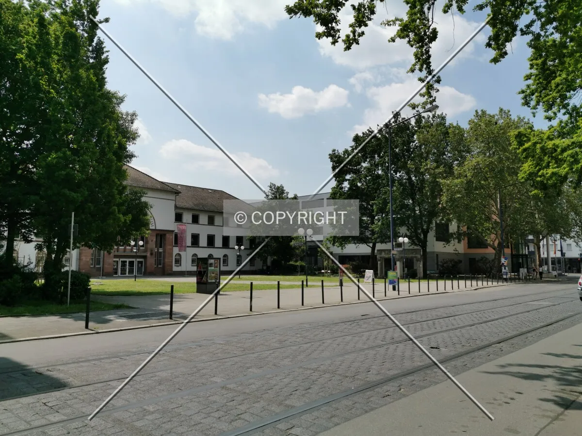 Photo 289-017-971