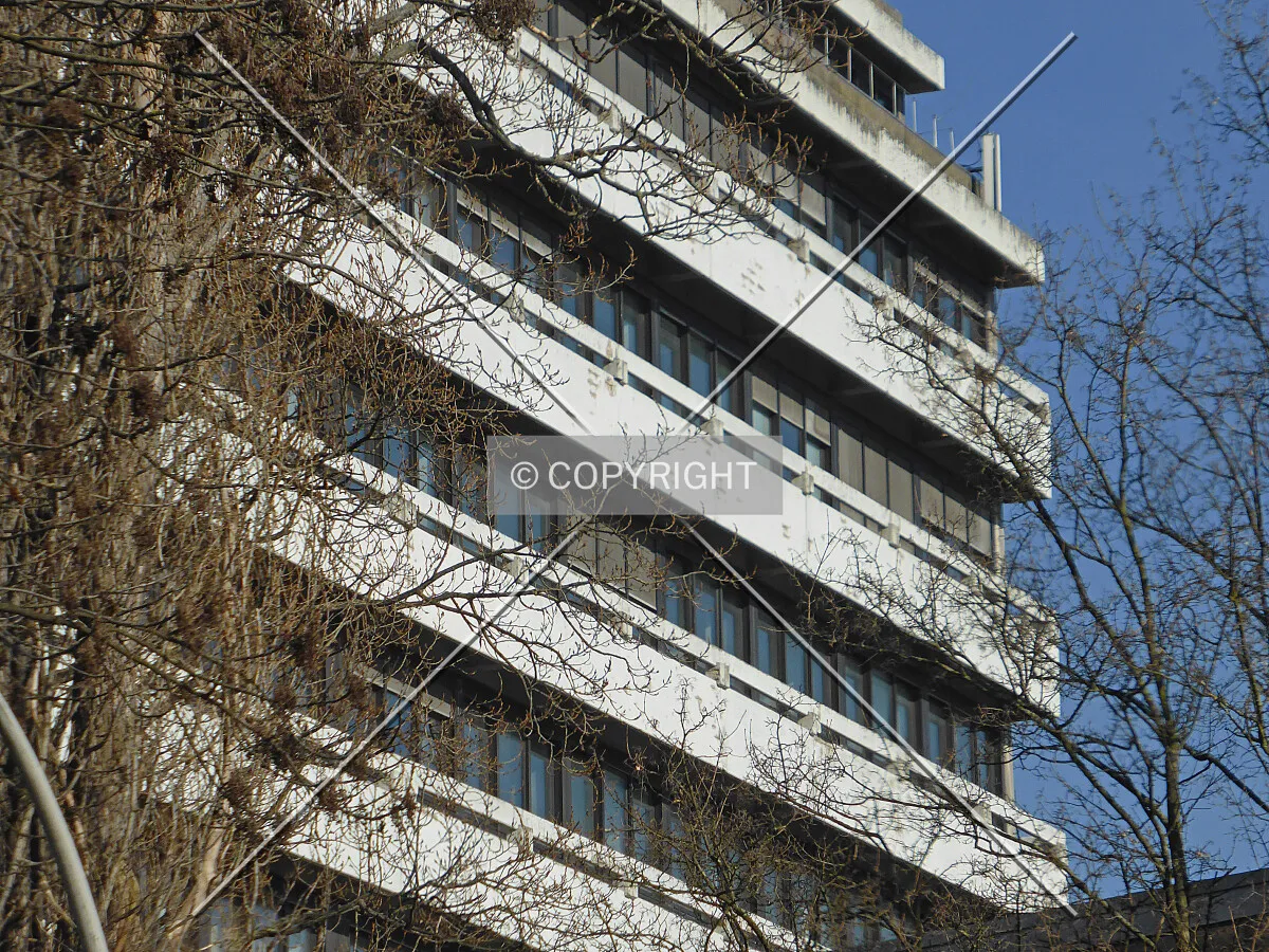 Photo 028-909-387