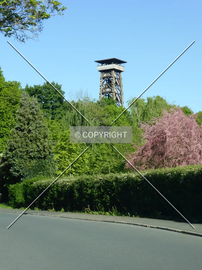 Photo 289-217-451