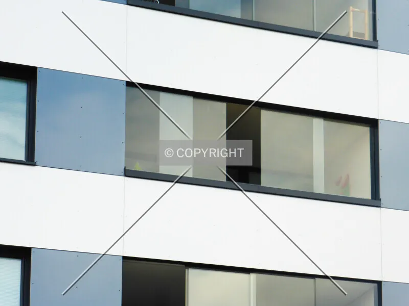 Photo 289-291-890