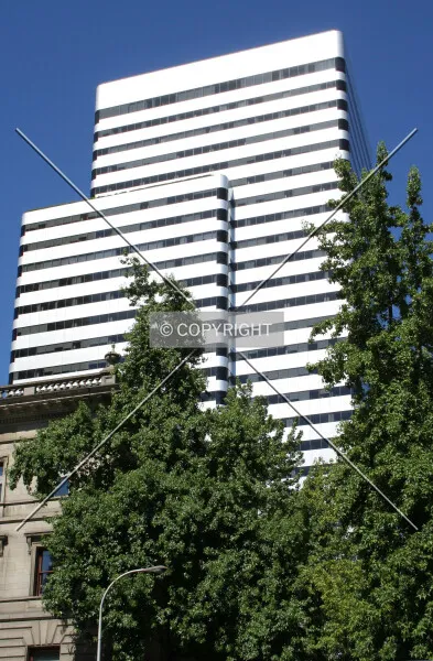 Photo 289-318-584