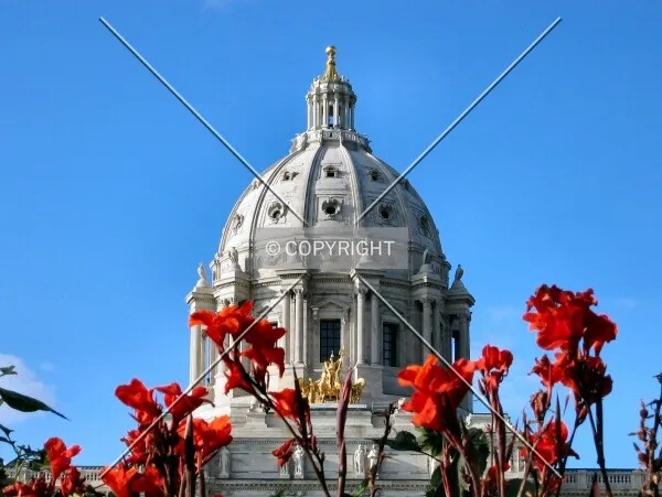 Capitol dome rising beyond late summer flowers