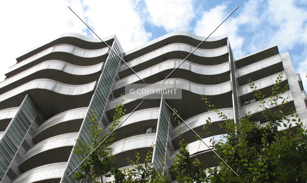 Photo 289-729-754
