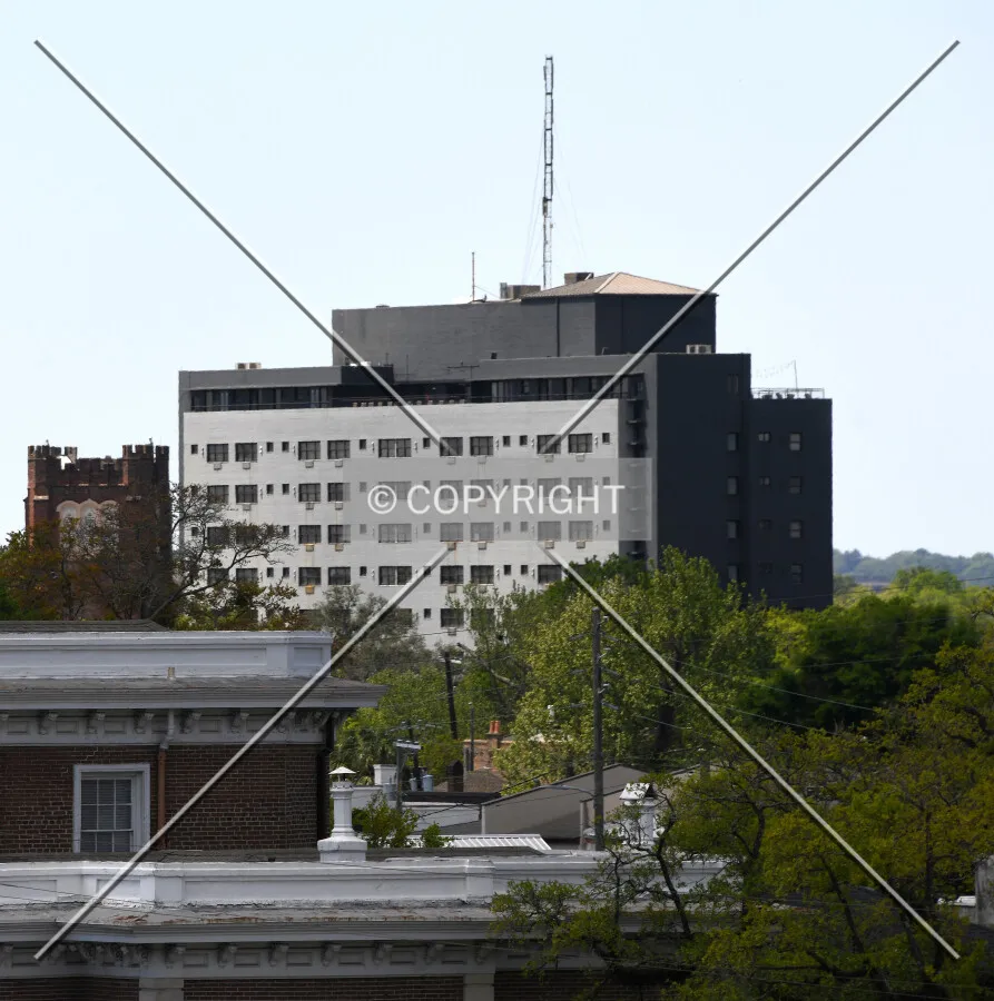 View from the southeast
