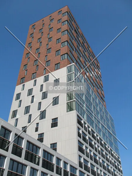 Photo 289-979-268
