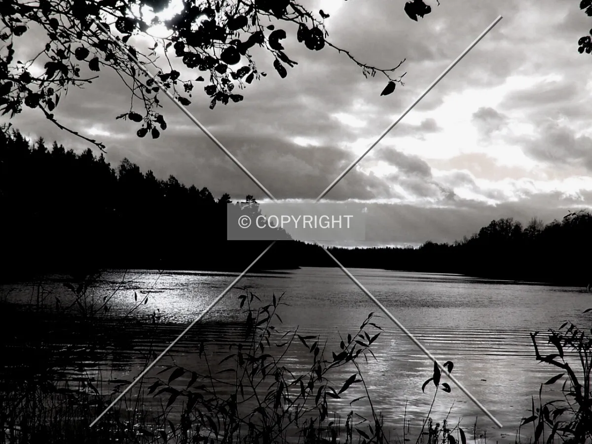 Photo 290-120-451