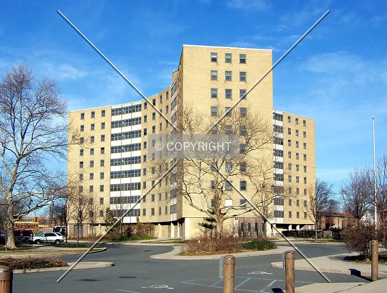 Photo 290-199-343