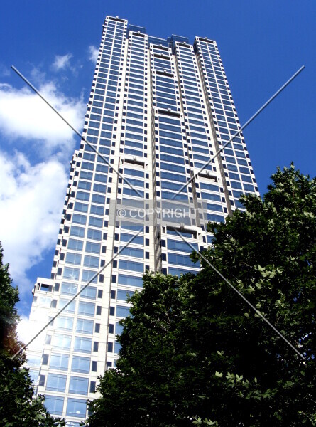 Photo 290-209-675