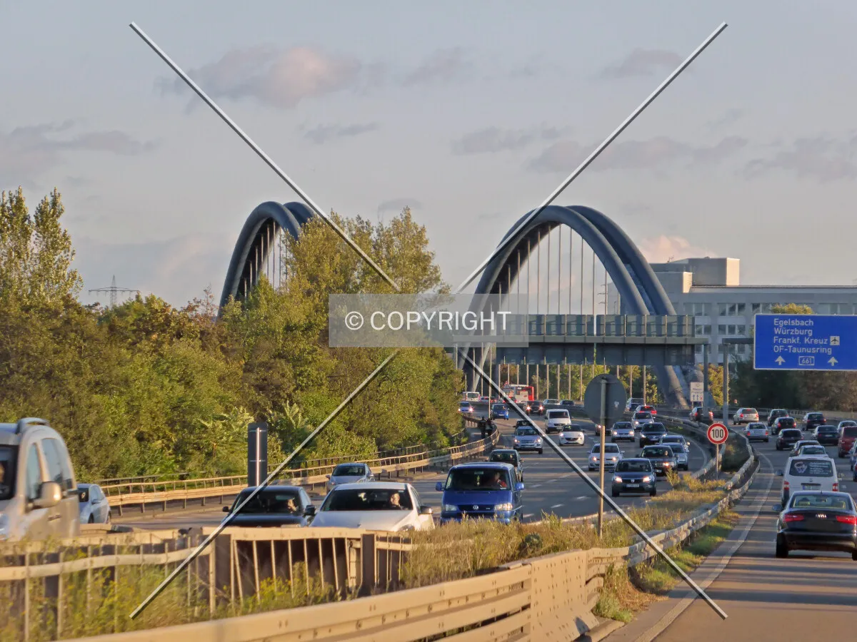 Photo 290-221-418
