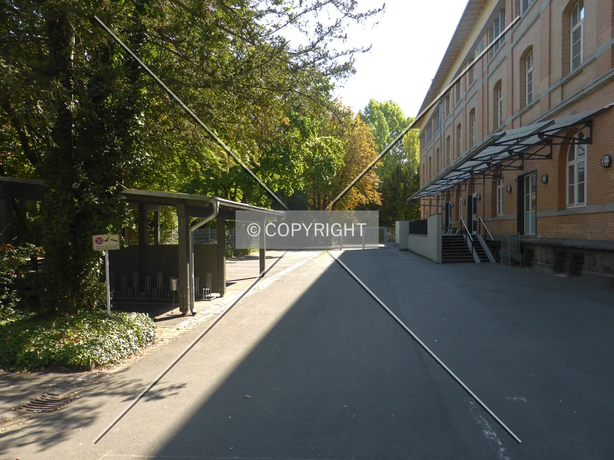 Photo 290-222-610